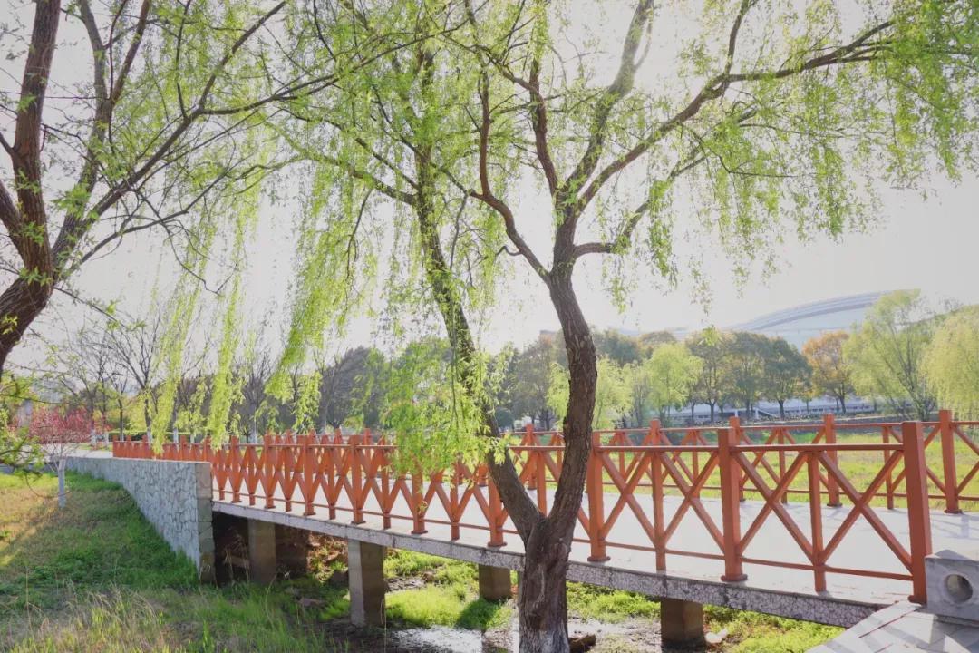 江苏财经大学,南京财经大学双非院校排名