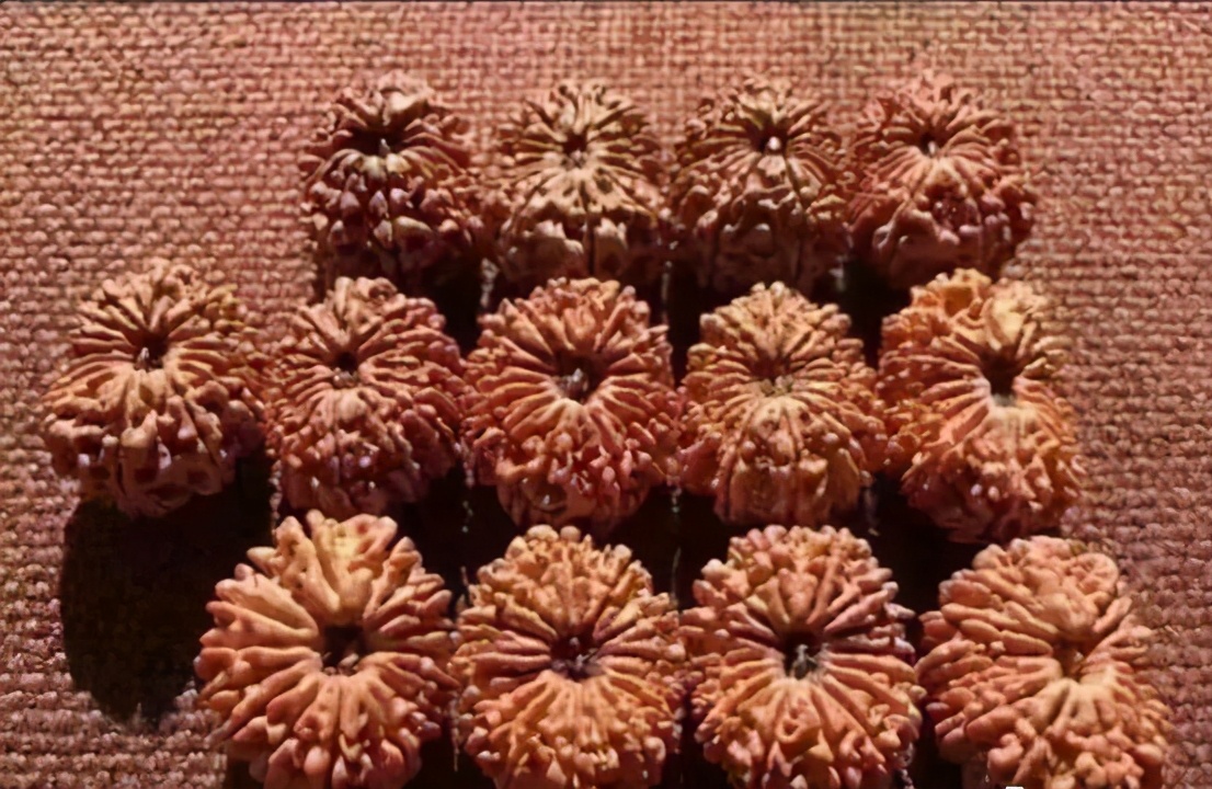 想捡漏别被套路,想捡漏到底好不好