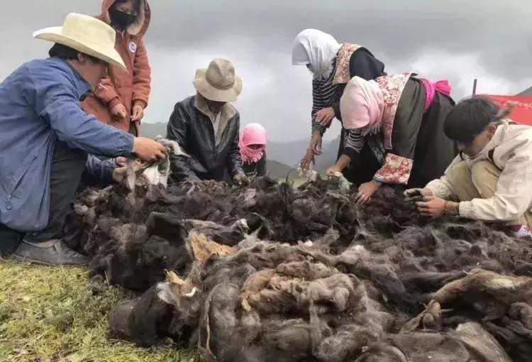 来自喜马拉雅的围巾,来自喜马拉雅的奢侈品