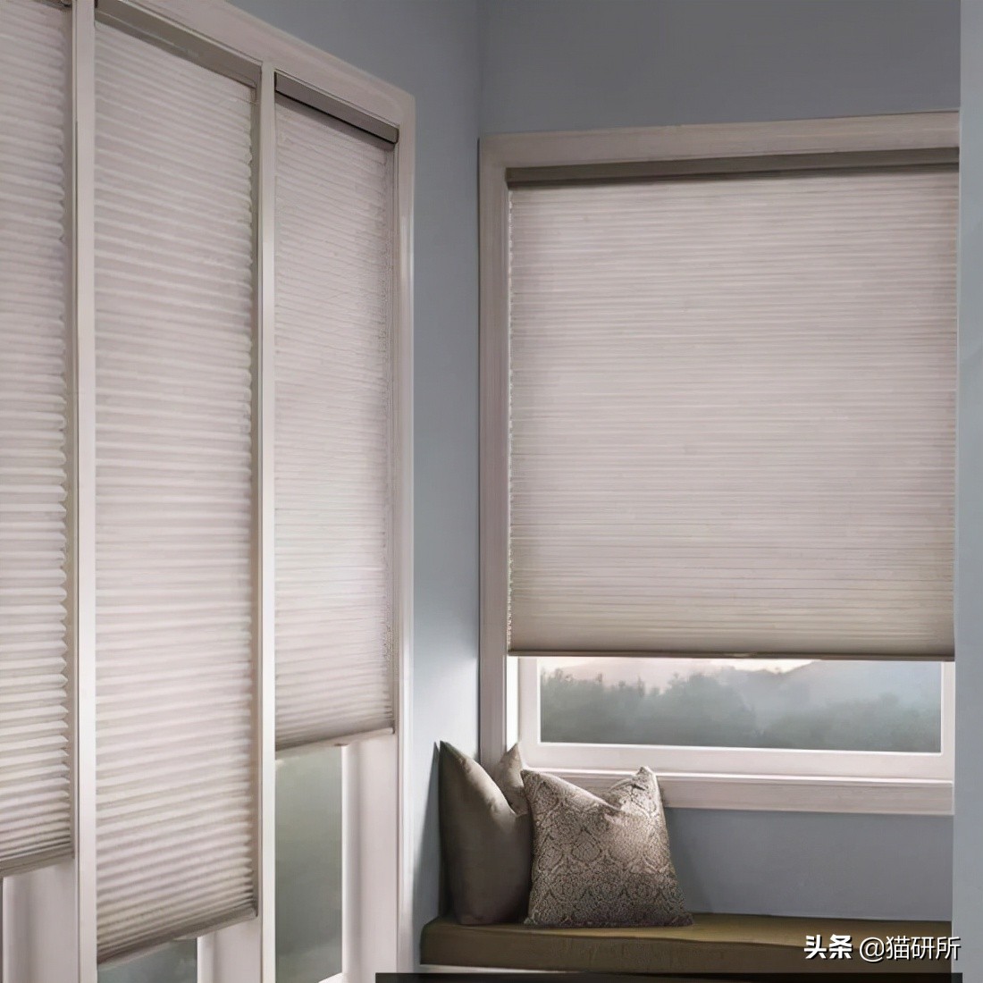 怎么惩罚猫咪挠沙发,猫咪不会挠坏的沙发