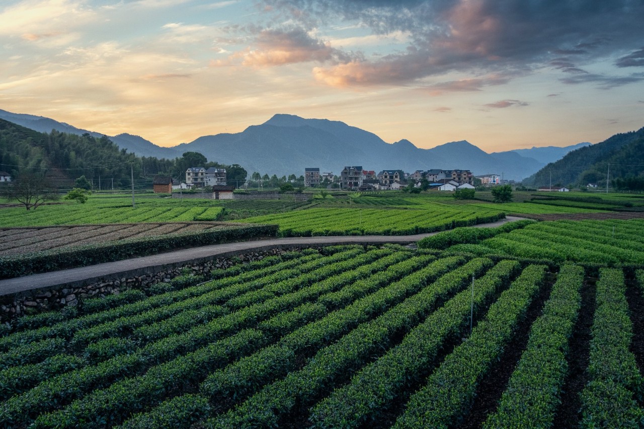 遂昌仙峡湖网红绿道在哪里,遂昌仙峡湖