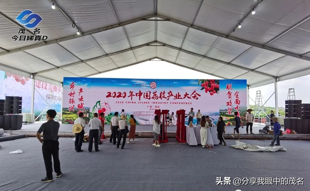 茂名荔枝大会,茂名市520荔枝产业大会