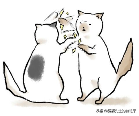 工作环境重要还是工作内容重要,工作环境对工作的影响