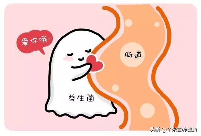 女性防护益生菌,蔓越莓益生菌对妇科炎症有效果吗