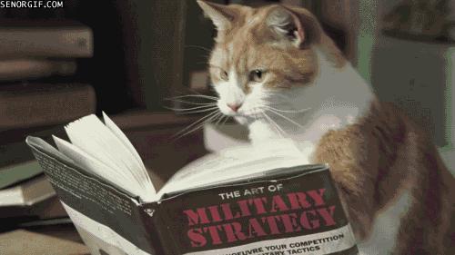 在校考雅思和毕业后考雅思区别,雅思成绩好建议去哪个国家