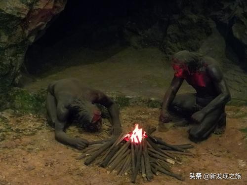 生物进化史最具代表的事件,生物进化史的意义