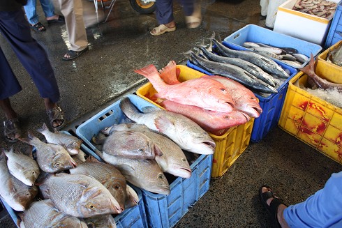 迪拜购物值不值得购买,迪拜购物回国物价不能超过多少