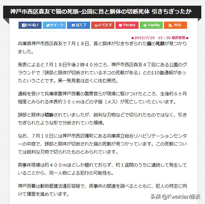 绝歌小说日本,绝歌日本