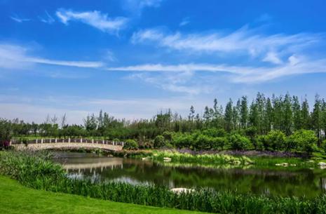 鍚堣偉榫欐箹4.0鏃朵唬,鍏洯浜哄眳鍥炲綊鑷劧