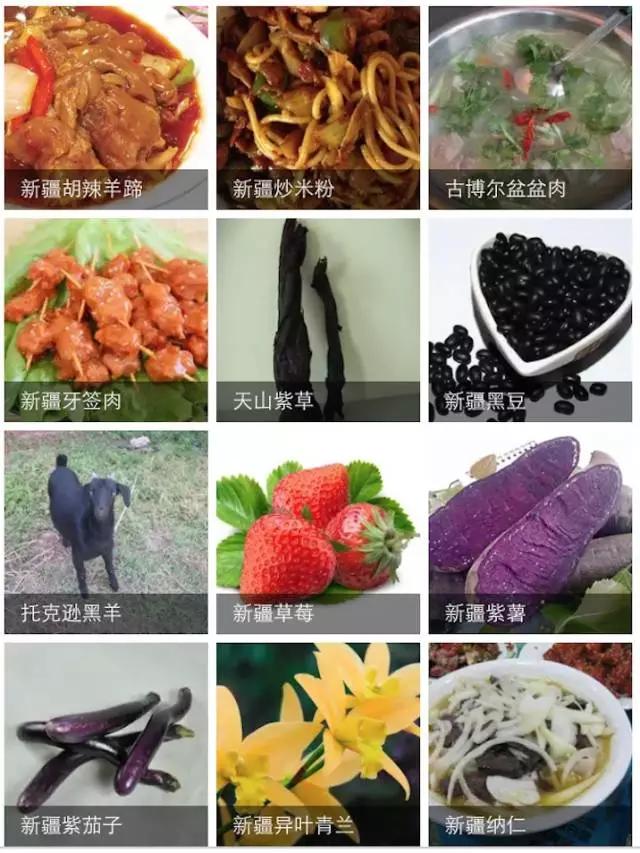 南北疆的特产有哪些,盘点十大新疆的特产