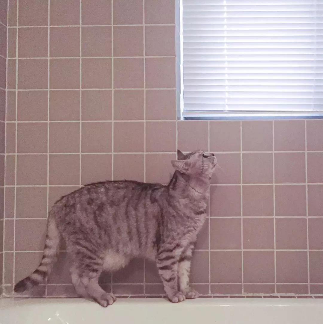 澶湁鐖变簡瀹屾暣瑙嗛,澶湁鐖变簡鍏ㄦ枃闃呰