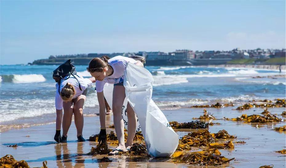 垃圾分类美妆品牌,国外品牌化妆品排行榜第一名