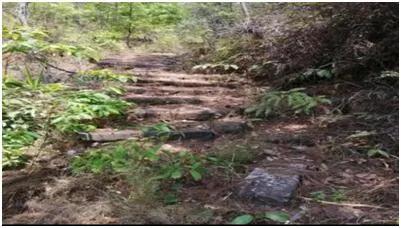 茶马古道马蹄坑,茶马古道篇