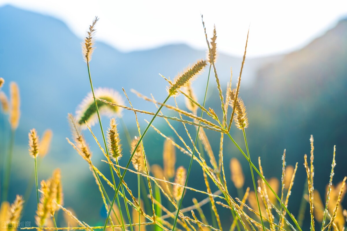 成人之美是一种修养也是最高境界,成人之美是一种高贵的品质