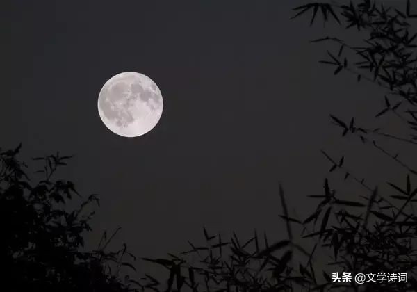 中秋节关于月亮和大海的诗句,关于中秋和月亮的古诗词经典名句