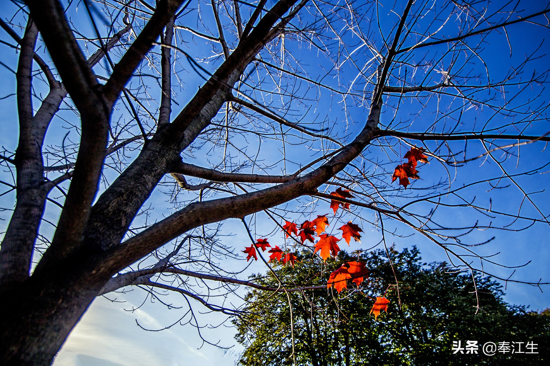传闻加拿大福利好，我在多伦多感冒了才知道，有什么千万别有病