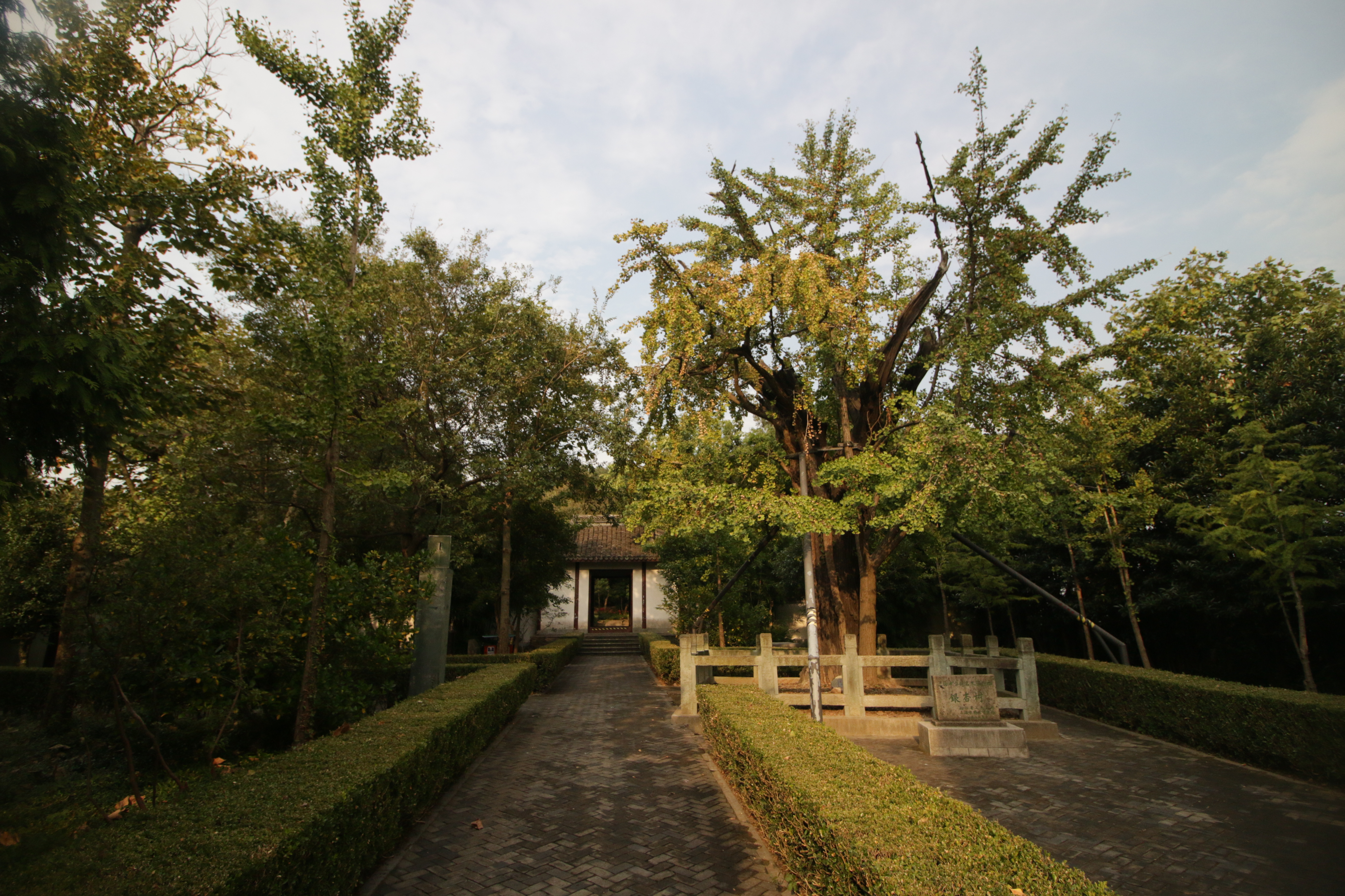 松江区的名胜古迹是什么,上海松江区古迹