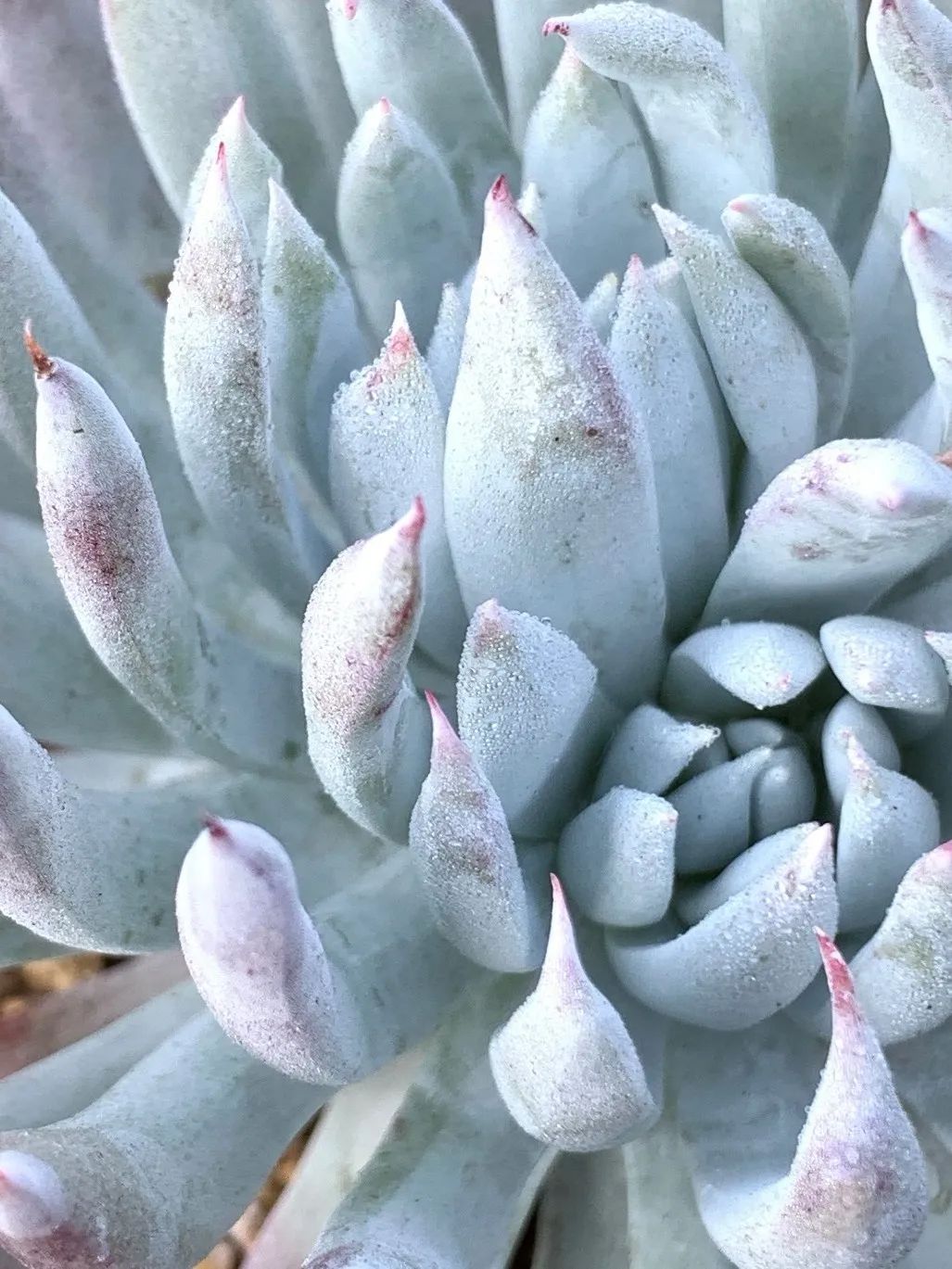 禁足的日子收获颇多,禁足