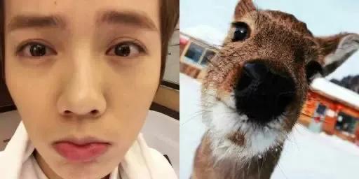 杨天真分析旗下艺人的着装视频,杨天真经纪人穿着