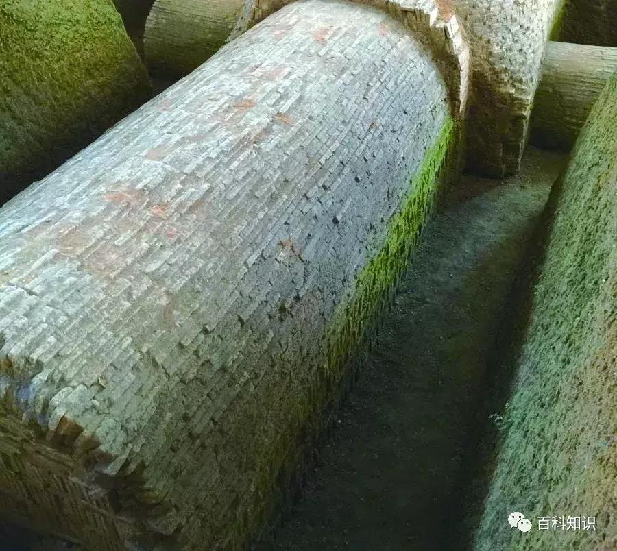 北海四季如春,广西北海是四季常青吗