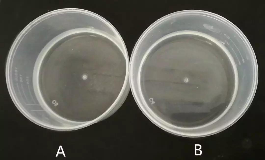 鞋里汗臭,夏天脚臭鞋臭怎么办教你除臭方法