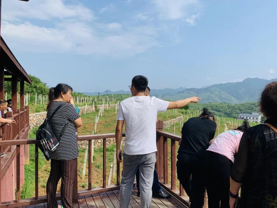 陕西丹凤葡萄酒厂西安总经销,渭南丹凤葡萄酒厂新闻报道