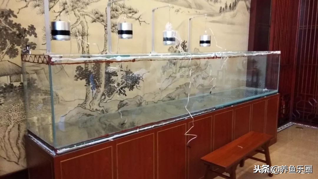 这位土豪家的渔场，光滤材就花了500多万，你确定不要见识一下？