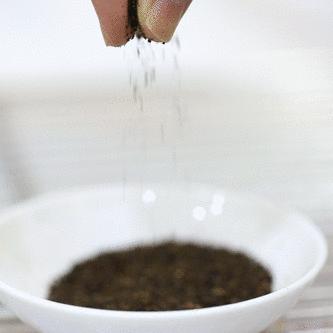 马来西亚进口水果蛋糕,火遍马来西亚的蛋糕