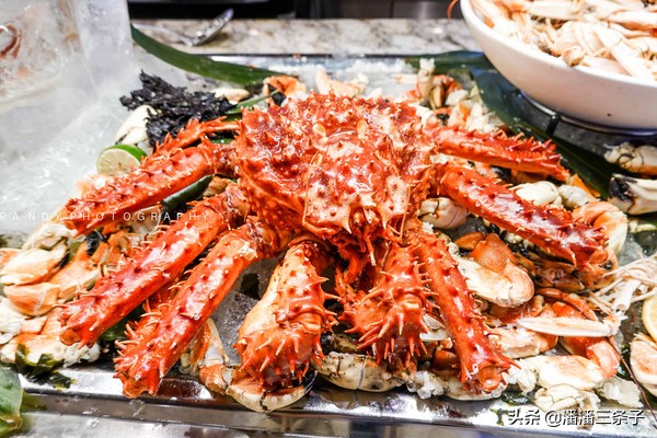 海洋光谱号升级精品游,海洋光谱号转港