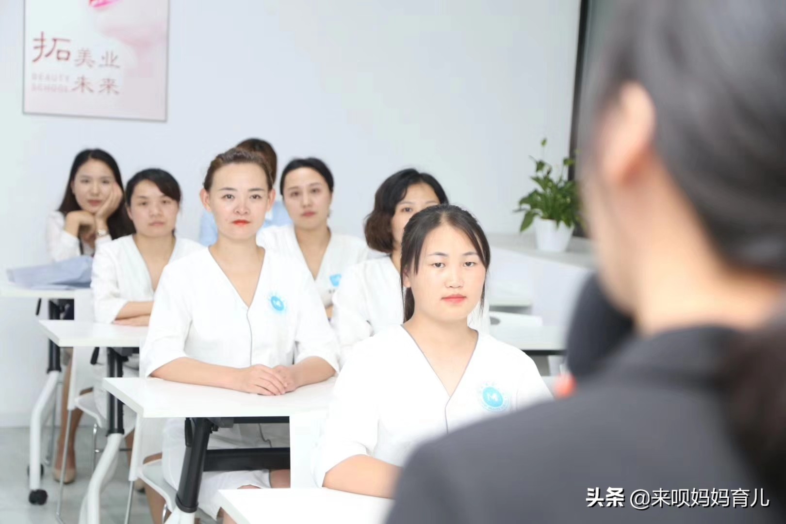 美容师学徒招聘信息模板,美容师免费学徒招聘是真的吗