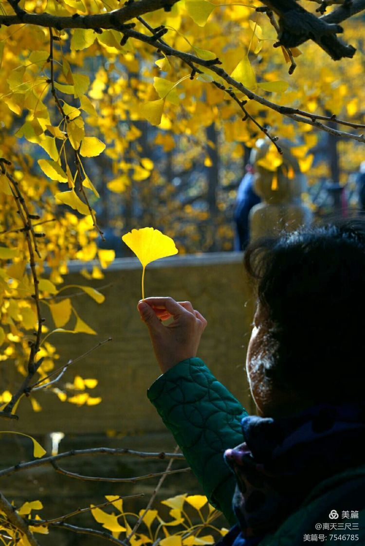 玉泉山北坞公园介绍,北坞村玉泉山