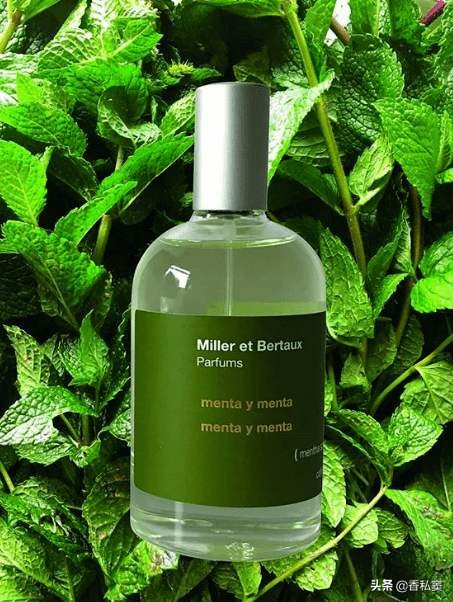 什么香水好闻淡淡的果香薄荷冷香,有没有好闻的薄荷味香水推荐
