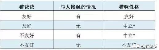 怎么判断猫是生病还是性格好,怎么看猫才能判断出猫的性格
