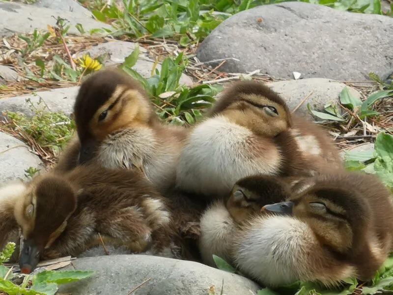 手拍世界微信公众号,手拍世界完整版视频