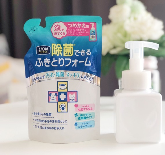 猫咪新手入门必知怎么给猫洗澡,给猫猫洗澡的正确方法