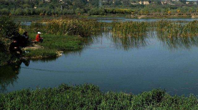 鲫鱼尾巴里面红线是虫吗,鲫鱼尾巴上有红色的虫子能吃吗