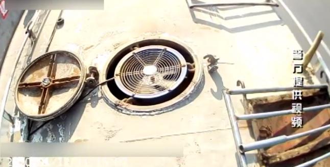 “凿门抬进去的!”重型罐车内传出异响,里面竟藏38头肥猪