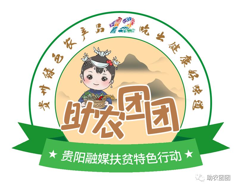 助农团团丨刺梨产业巡礼⑨：“刺梨上市，太医无事”，天然刺梨维C王