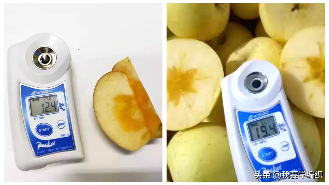 日本天价水果上热搜，苹果100元一个！中国老农却种出奶油富士