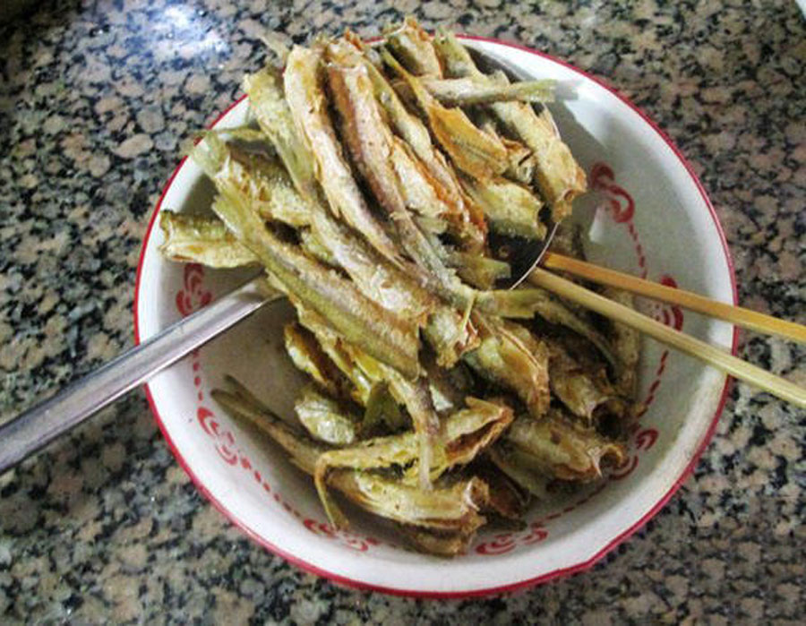 白条闹窝最佳解决方法,白条闹窝怎么解决