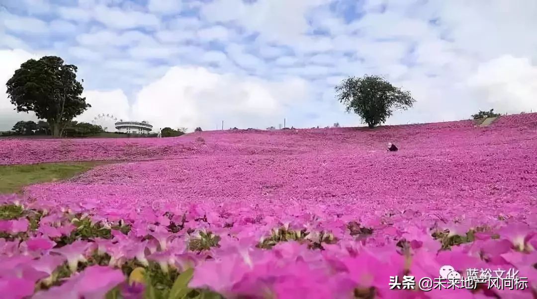母亲牧场要玩多久,低成本花园家庭农场亲子乐园