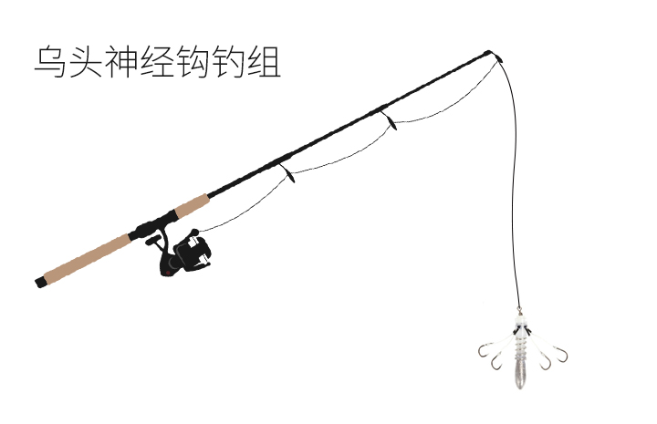 鲻鱼的钓法和技巧,钓鲻鱼用什么钩型比较好