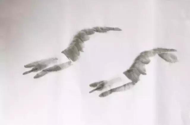 墨龙画法教程简单毛笔,河虾简笔画教程