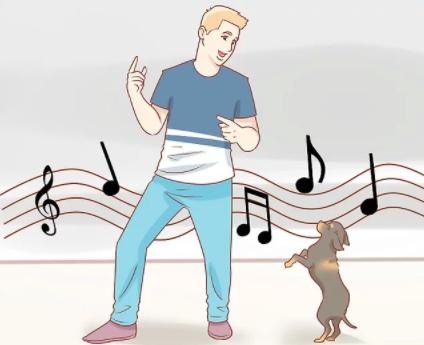 怎样训练狗狗跟你跳舞,怎么训练狗狗跳舞