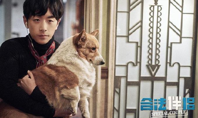 面瘫演员白客,面瘫演技派完整视频