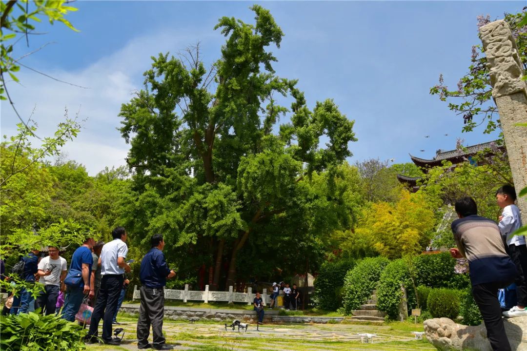 航拍最美临沭,临沭最美风景