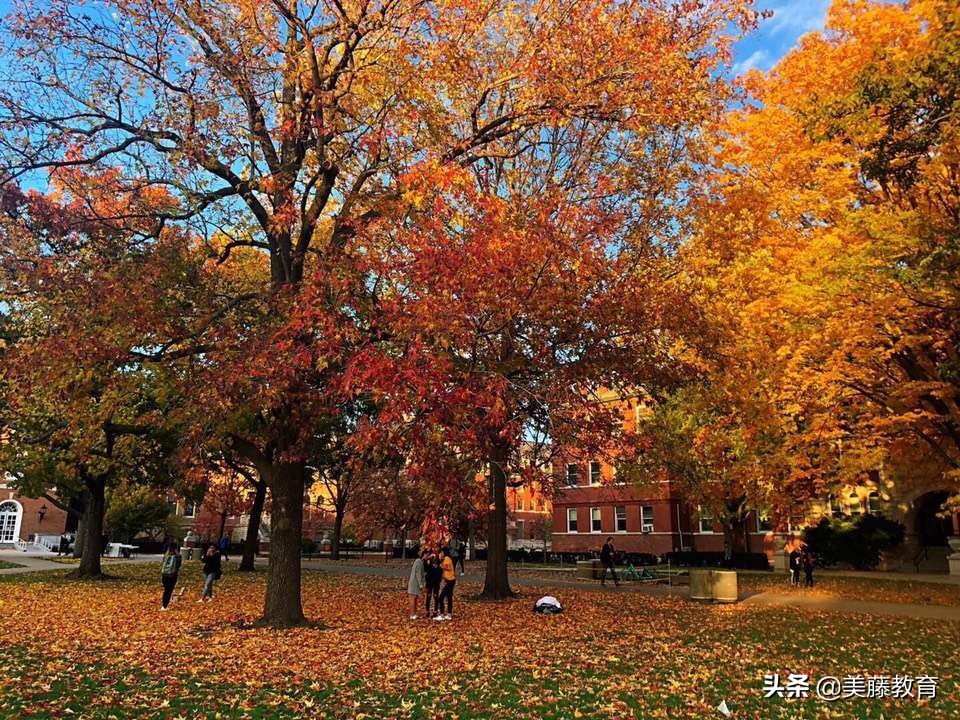 佛罗里达州留学可靠吗,佛罗里达大学美国留学
