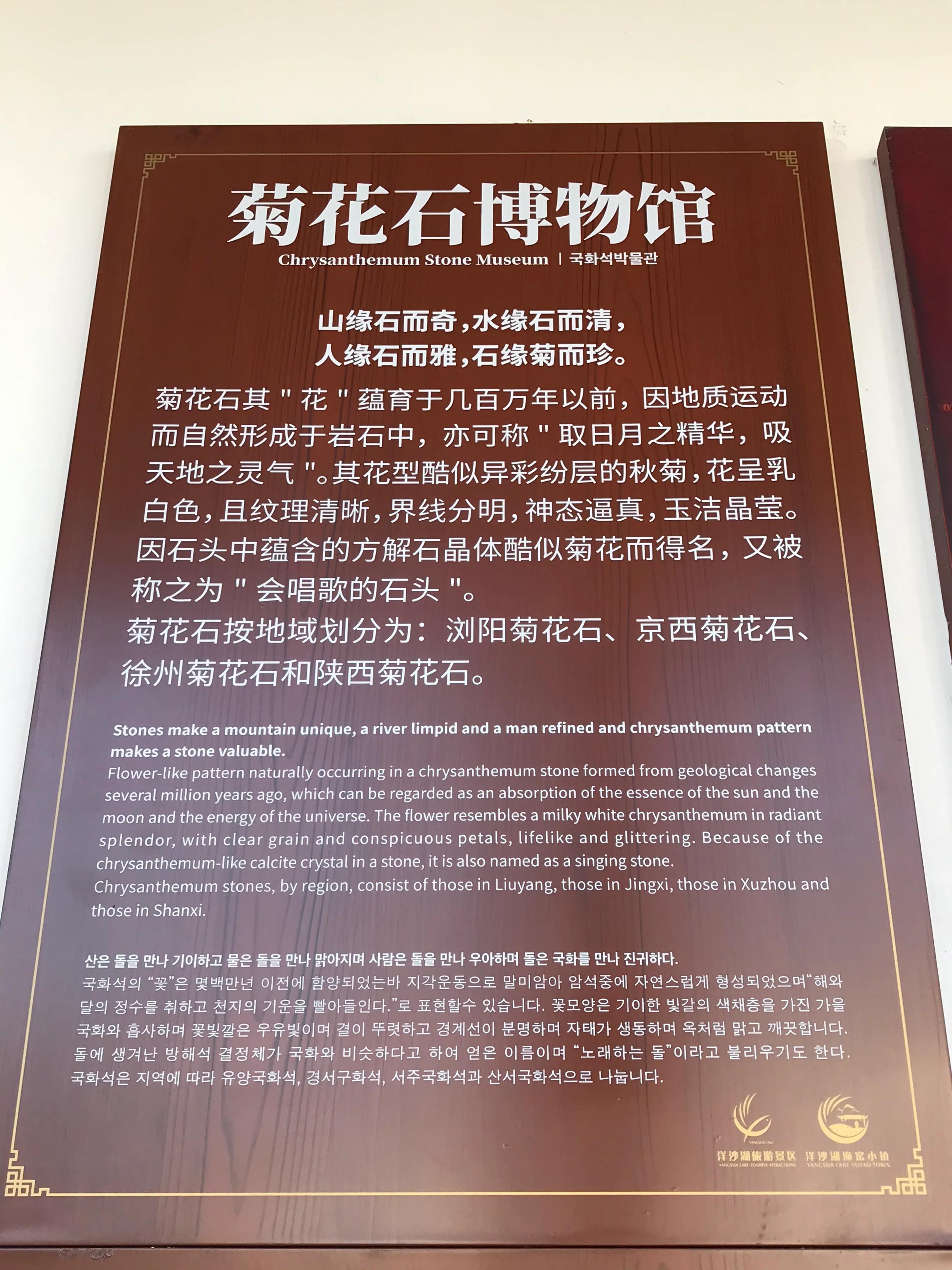 洋沙湖湿地公园游记,洋沙湖游记作文