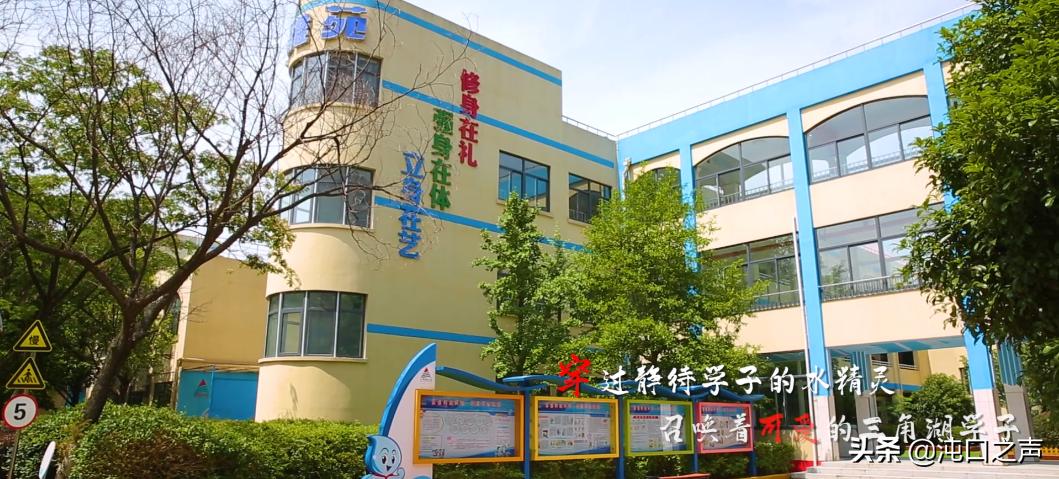武汉三角湖小学官仕墩校区,武汉市经开区三角湖博学校区