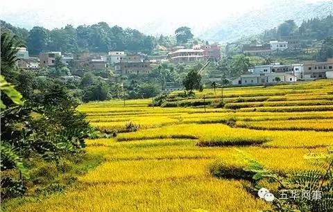 美丽的五华县,五华我可爱的家乡